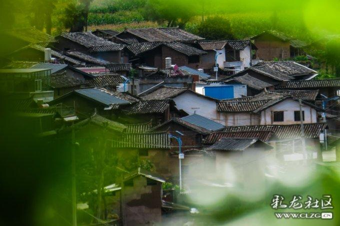 生化危机3